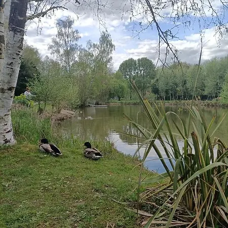 Appartamento Au Saule Pleureur Villers-Saint-Paul Esterno foto