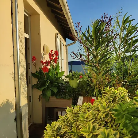 Appartamento Au Saule Pleureur Villers-Saint-Paul Esterno foto