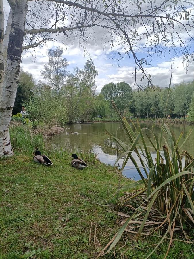Appartement Au Saule Pleureur